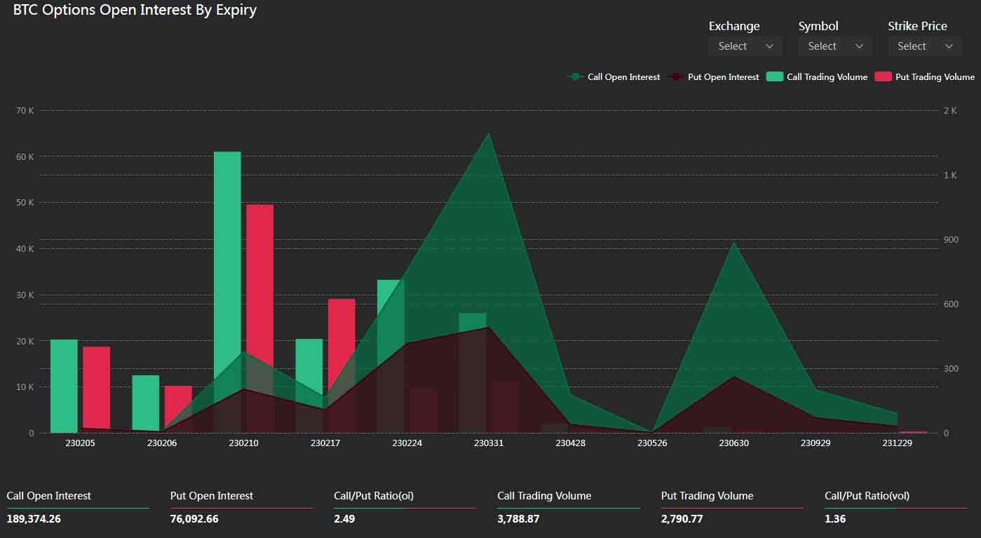 BTC Options Open Interest By Expiry